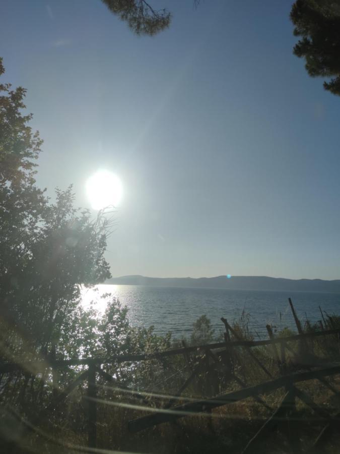 Civico 37 Villa Trevignano Romano Buitenkant foto